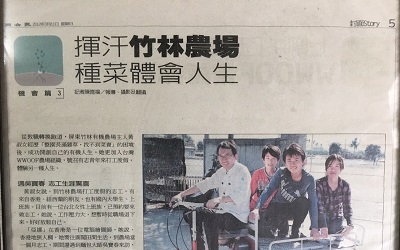 揮汗竹林農場 種菜體驗人生